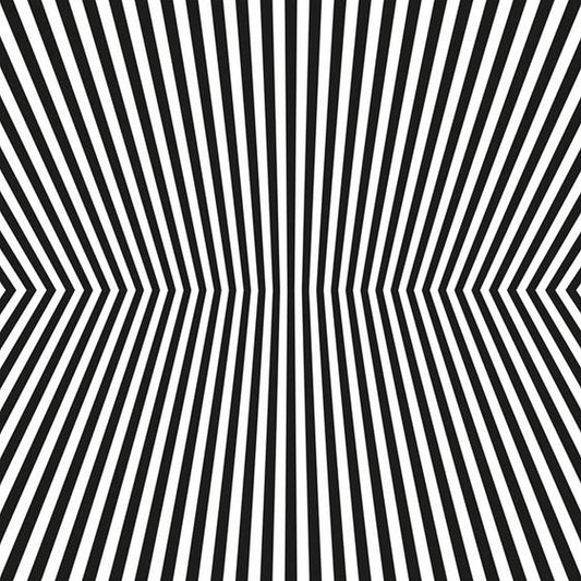 The Vacant Lots - Damage Control[2LP 180g White/Black Splatter]