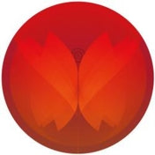 Putting Down Roots (Warm Communications Vinyl)