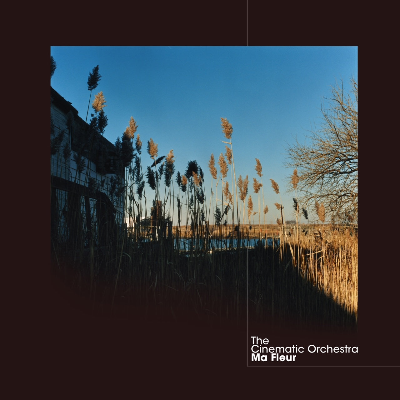 The Cinematic Orchestra - Ma Fleur [Clear Vinyl LP]